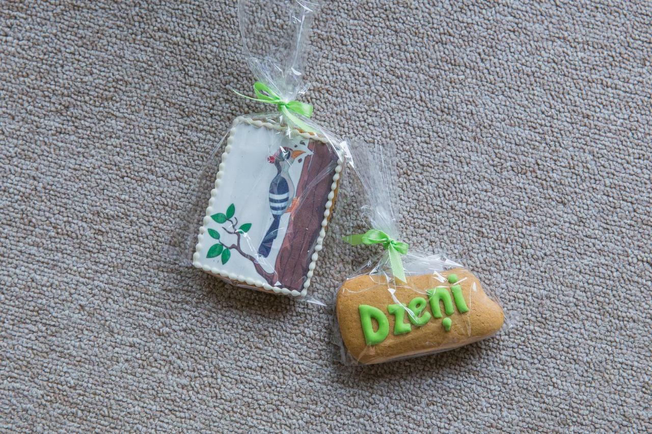 Dzeni Летний дом Аматциемс